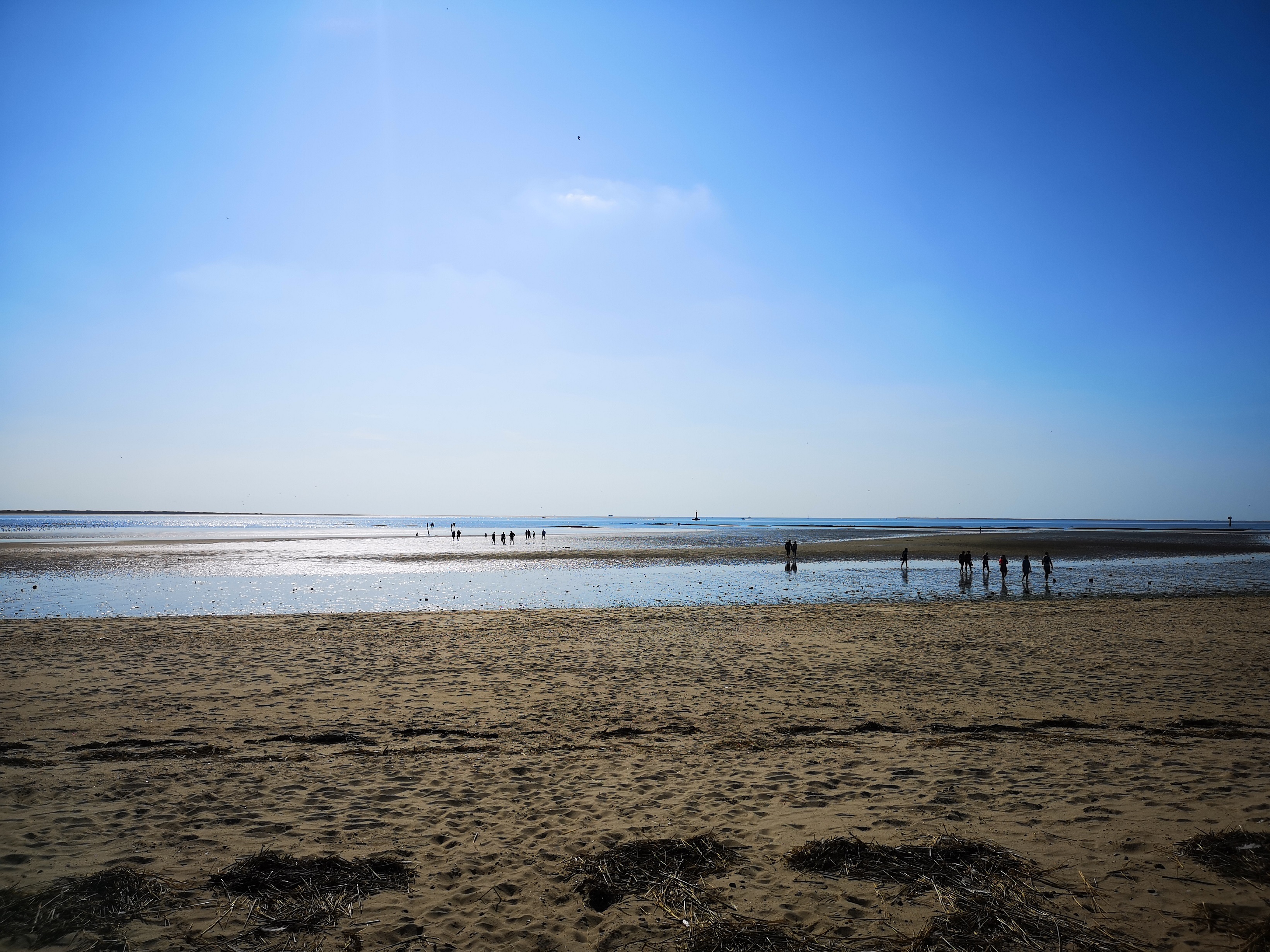 Ebb tide, Esbjerg.jpg